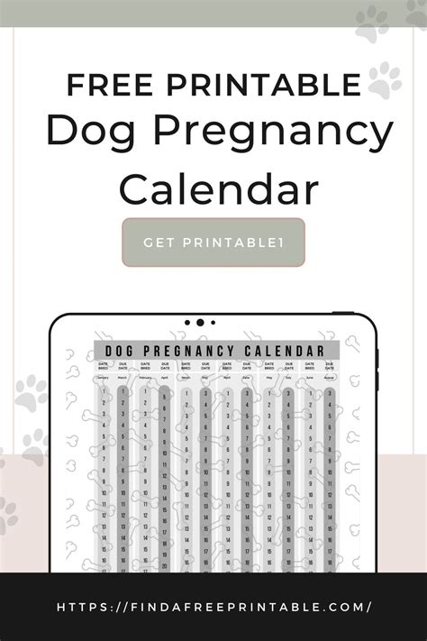 Canine Pregnancy Calculator and Calendar